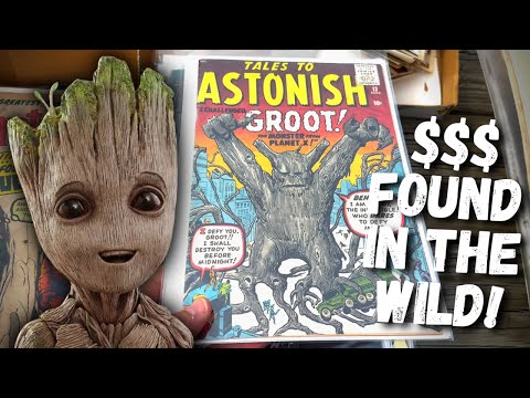 Видео: Я только что нашел ЧТО в дикой природе?!?!?!?