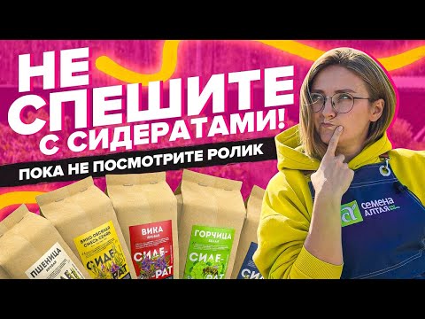 Видео: КАК ВЫБРАТЬ СИДЕРАТЫ ПРАВИЛЬНО?!