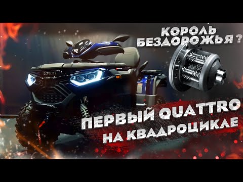 Видео: ЛИТРОВЫЙ XWOLF 1000 НА QUATTRO. ПРОРЫВ КВАДРОДВИЖЕНИЯ ??