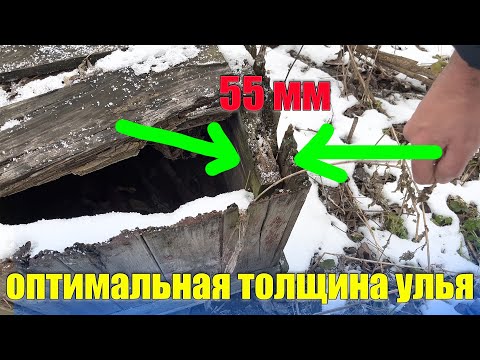 Видео: Какой толщены улей выбрать