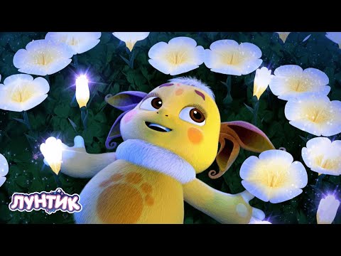 Видео: Лунтик | Обнять луну 🌓🌓🌓 516 серия | Мультики для детей