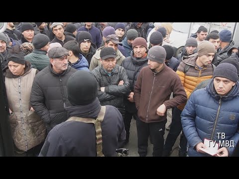 Видео: Чекисты и полицейские выловили на скандальной овощебазе 36 нелегалов