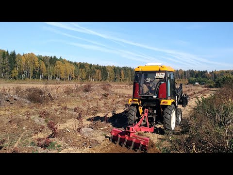 Видео: Как устроена промышленная плантация голубики