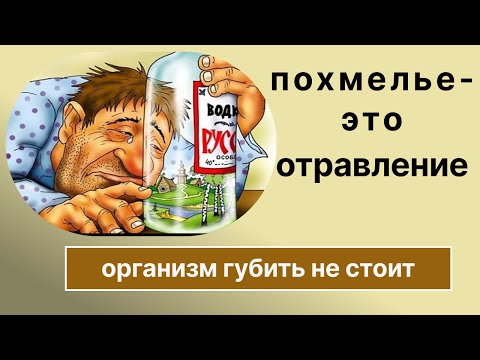 Видео: Похмелье - не приговор