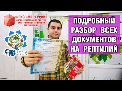 Видео: Документы на рептилий — Справка на змею или ящерицу. Меркурий, Ситез, Чипирование.