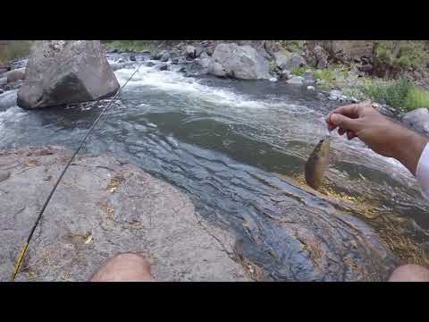 Видео: Ловля Форели в Армении. Последний Выезд Сезона 2019