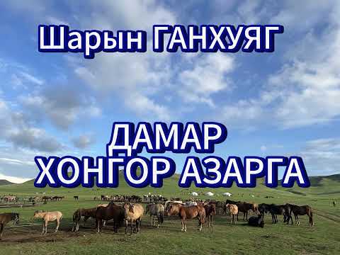 Видео: ДАМАР ХОНГОР АЗАРГА