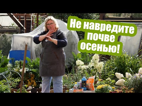 Видео: Почва осенью: 5 страшных ошибок! Подготовка грядок осенью