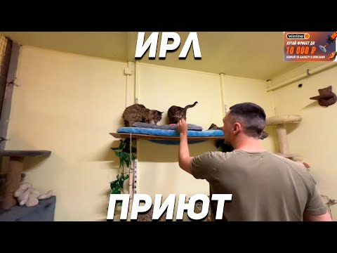 Видео: ЛИКС ШАДОУКЕК ДЕД И ЮЛЯ ПОМОГАЮТ ПРИЮТУ!