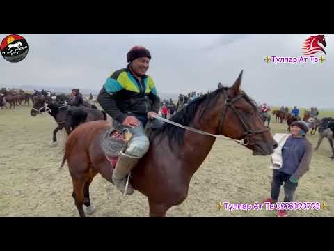 Видео: Өзгөн шаары, Айгыр жал айылы, Сапарбек чон атасына аш берип, аламан улагын берди.🇰🇬