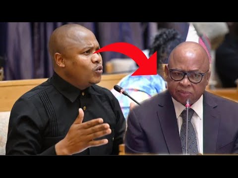 Видео: Депутат Нкола выразила обеспокоенность по поводу отсутствия у Матале полномочий, делегированных м...