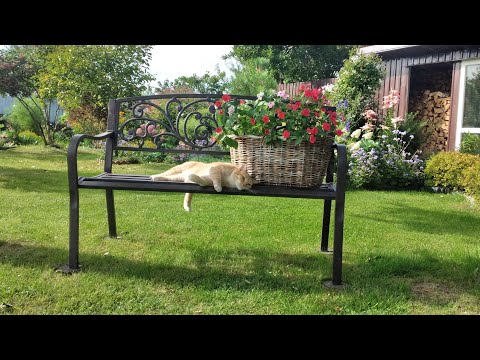 Видео: Яркие Акценты в моём САДУ✅ Малые Архитектурные Формы в Ландшафтном Дизайне Сада✅ #garden #сад