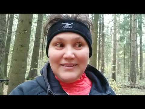 Видео: Дневник Шестого Периода Ба Цзы