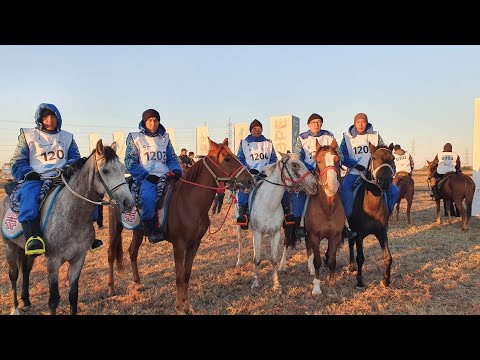 Видео: Ұлы Дала Жорығы  Маңғыстау КӨКМОЙНАҚ командасы 600 шақырымды 2 ші болып аяқтады  🏇🏇🏇🏇🏇