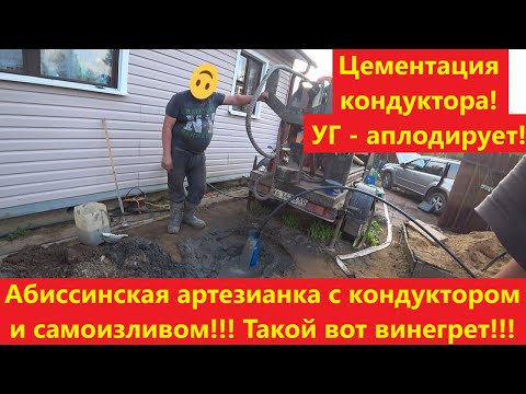 Видео: Артезианская абиссинка на известняк с самоизливом! СНТ "Игма", Истра.