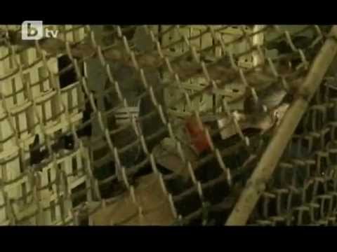 Видео: Бягство от затвора - 2 част