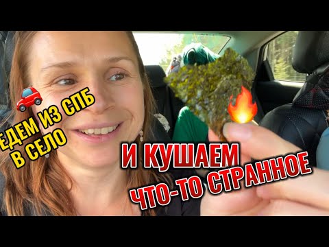 Видео: Едем из СПб в село и кушаем что-то странное 😅 продолжение следует.