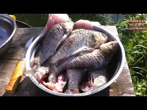 Видео: Хрустящие карасики в сметана без костей, Рецепты из рыбы в казане на костре от #FishermanDV27Rus