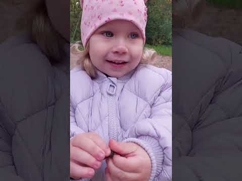 Видео: Осень 🍂 