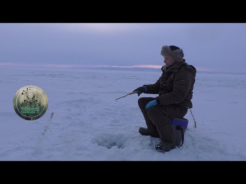 Видео: В ГОСТЯХ у ЭВЕНКА, РЫБАЛКА на ОМУЛЯ и ХАРИУСА БАЙКАЛ /ХАКУСЫ ГОРЯЧИЕ ИСТОЧНИКИ