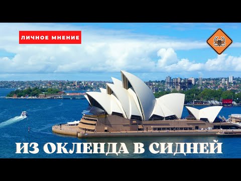 Видео: Из Окленда в Сидней. НЗ vs Австралия// На обратной стороне Земли