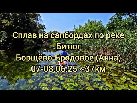 Видео: Сплав на сапбордах по реке Битюг Борщёво-Бродовое 07-08.06.25 #сапборд #сплав