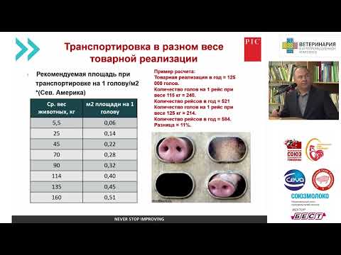 Видео: Павлов А.В. Тяжелый вес отварной реализации, преимущества и недостатки