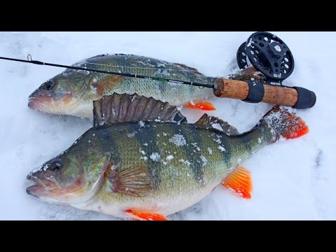 Видео: СНАСТЬ КОТОРАЯ РЕАЛЬНО РАБОТАЕТ В ГЛУХОЗИМЬЕ. ЗИМНЯЯ СНАСТЬ НА ОКУНЯ!!! Как поймать окуня зимой