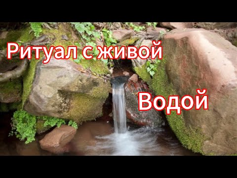 Видео: Ритуал с живой водой: снять с себя негатив и вернуть обратно недоброжелателям