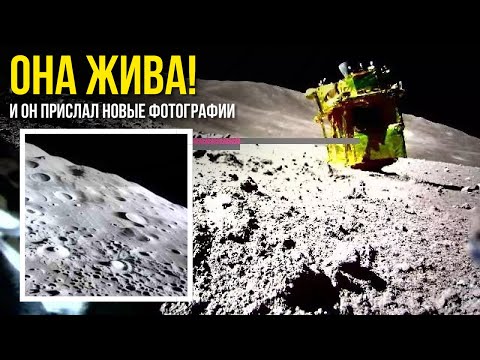 Видео: Он отправил новые изображения после пробуждения в лунную ночь!