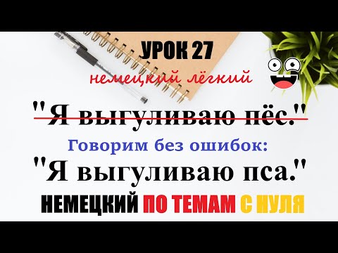 Видео: УРОК 27. Склонение существительных / Множественное число существительных