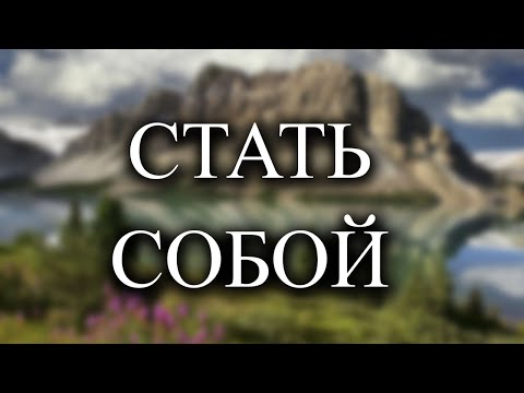 Видео: Всё, что нужно сделать в этой жизни