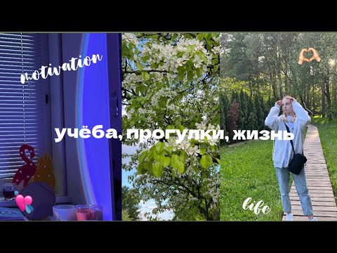 Видео: april-may 2023:последние учебные дни, прогулки