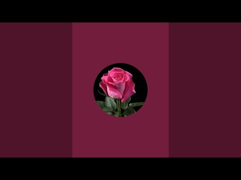 Видео: Ольга  в прямом эфире!