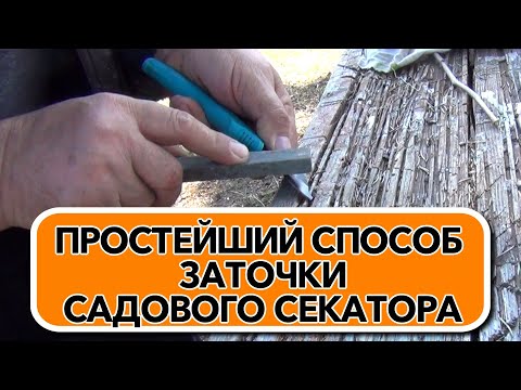 Видео: ПРОСТЕЙШИЙ СПОСОБ ЗАТОЧКИ САДОВОГО СЕКАТОРА