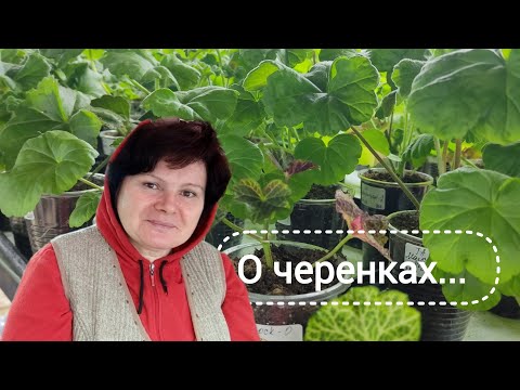 Видео: Поболтаем за работой!