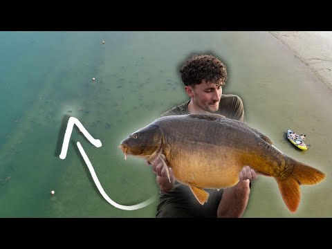 Видео: Большой карп на пляже — Побег из Лондона 2
