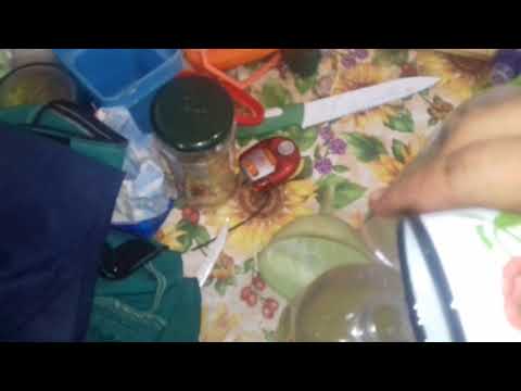 Видео: Подкормка пчёл сиропом с добавлением кобальта