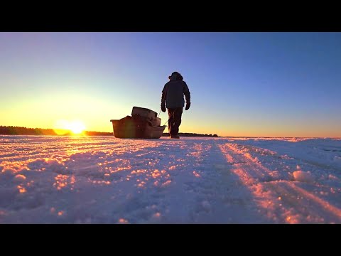 Видео: Первая Рыбалка в Новом 2024 году!