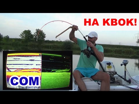 Видео: Рыбалка на сома с квоком . этот сом не похож на других.