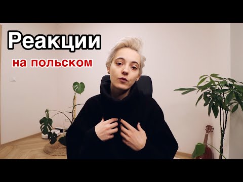 Видео: Реакции на польском | реагируй правильно
