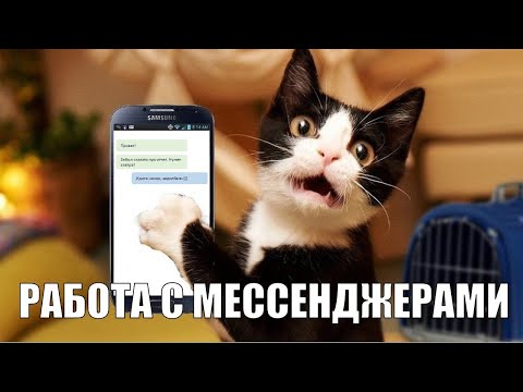 Видео:  Как жить с мессенджерами?