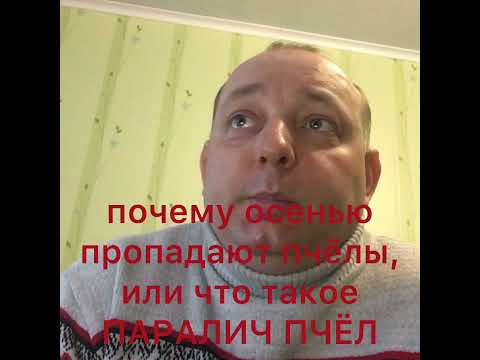 Видео: Почему осенью пропадают пчёлы, или что такое ПАРАЛИЧ ПРЧЁЛ.