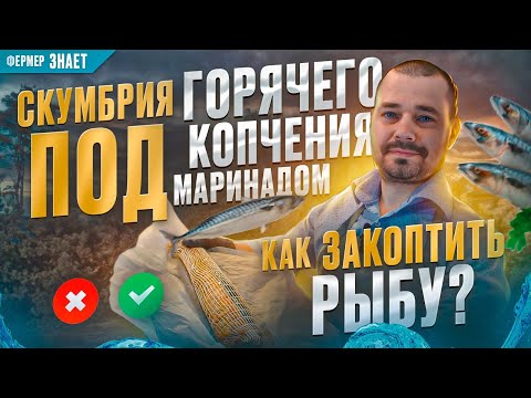 Видео: Скумбрия горячего копчения под маринадом / Домашняя Коптильня Ханхи 4 (Hanhi 4) / Как закоптить рыбу
