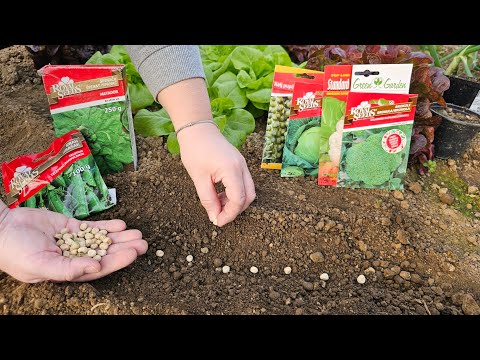 Видео: Что сеют в феврале? Ранний посев — богатый урожай!