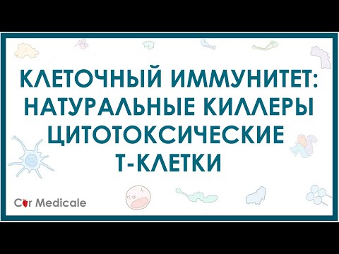 Видео: Натуральные киллеры и цитотоксические Т-клетки - клеточный иммунитет