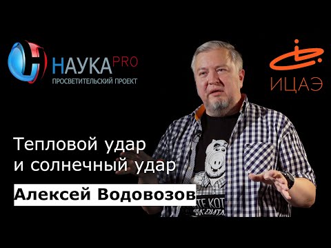 Видео: Тепловой удар и солнечный удар – врач Алексей Водовозов | Научпоп