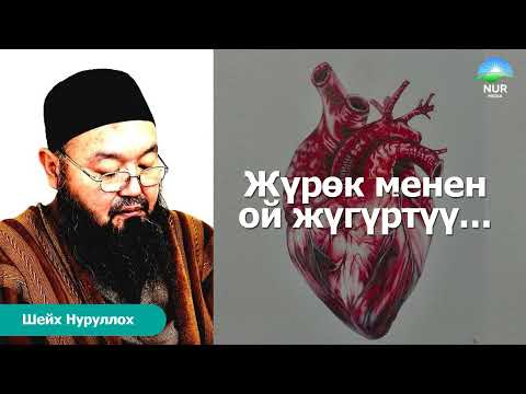 Видео: Жүрөк менен ой жүгүртүү керек. Устаз Нуруллох.