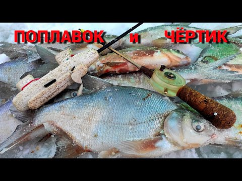 Видео: ЗИМНИЙ ПОПЛАВОК и ЧЁРТИК. Рыбалка в палатке на ИСТРЕ.