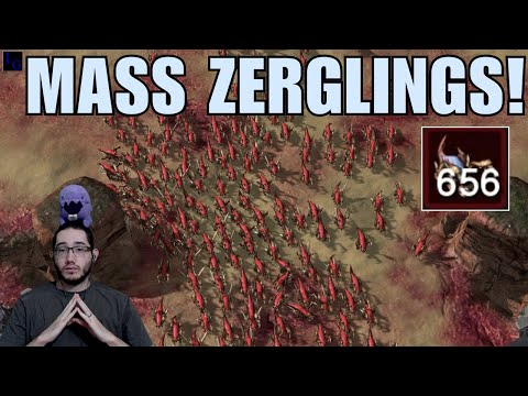 Видео: Как потерять более 650 ЗЕРГЛИНГОВ?! (Разбойник против Умелого) | StarCraft 2 SC2 Best-of-3